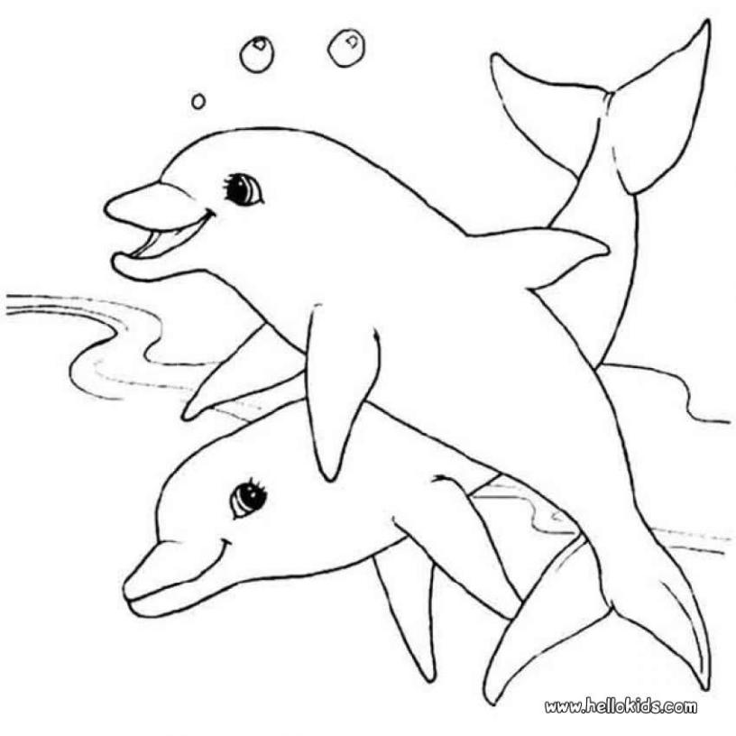 Friendly underwater creature 20 Dolphin coloring pages | Free Printables